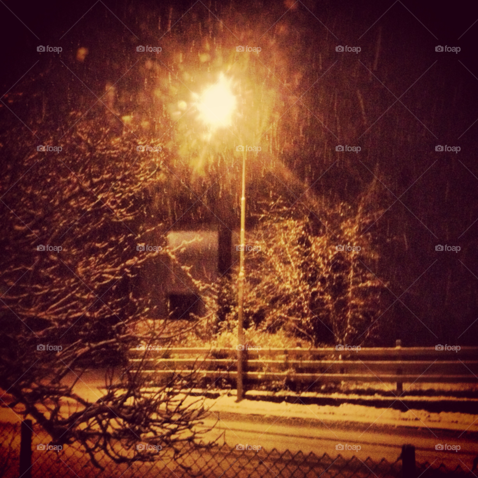 dark tree streetlight snowing by liselott
