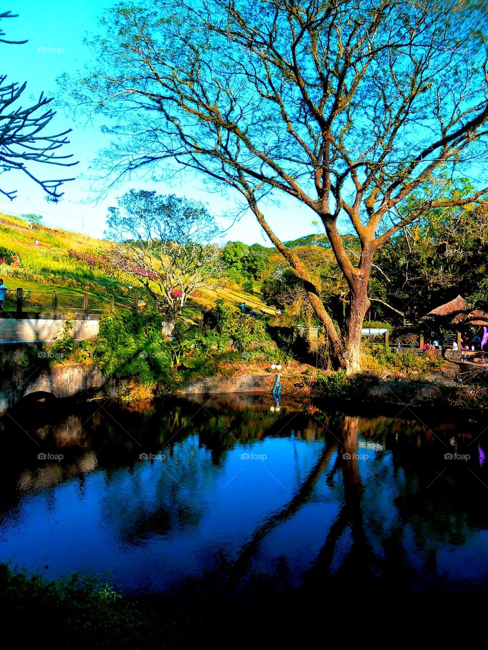 nature water la mesa eco park quezon city by junpinzon
