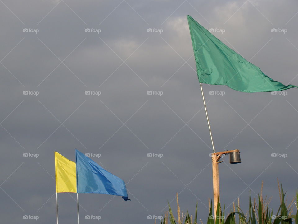 Flags