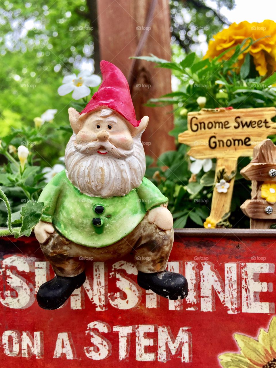 Gnome on a Flowerpot