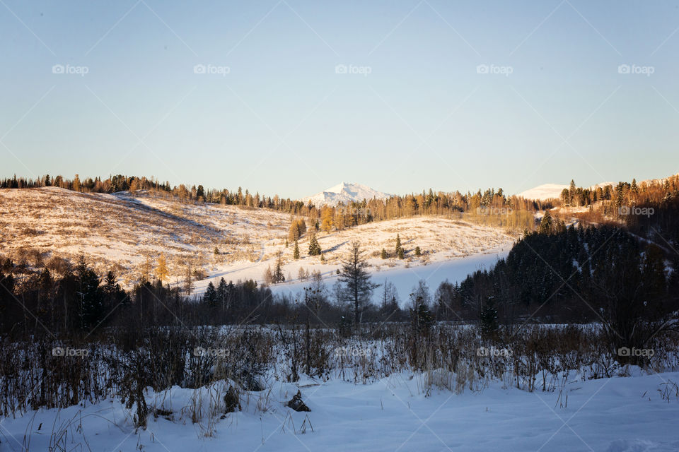 Snowy mountain of kazakhstan