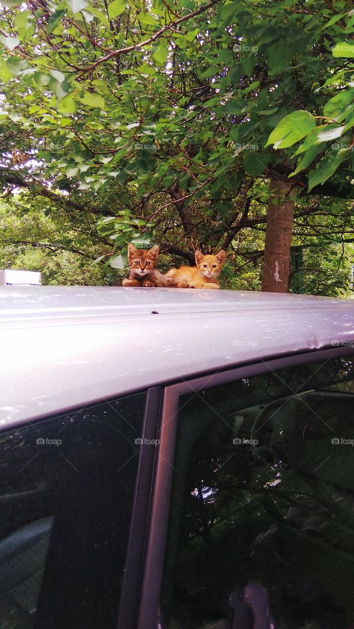 editors Choice photo on the week