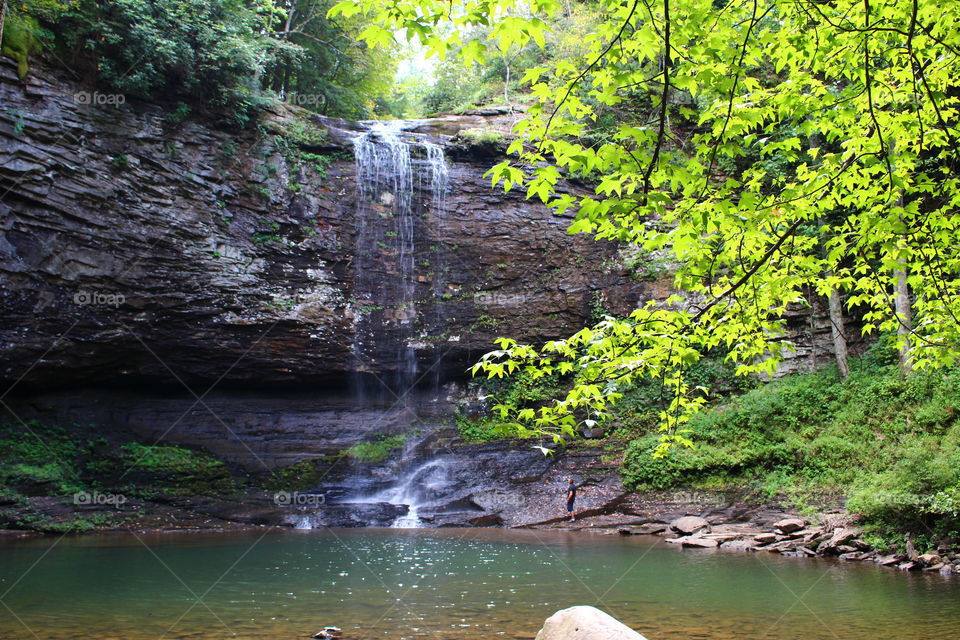 Cloudland canyon