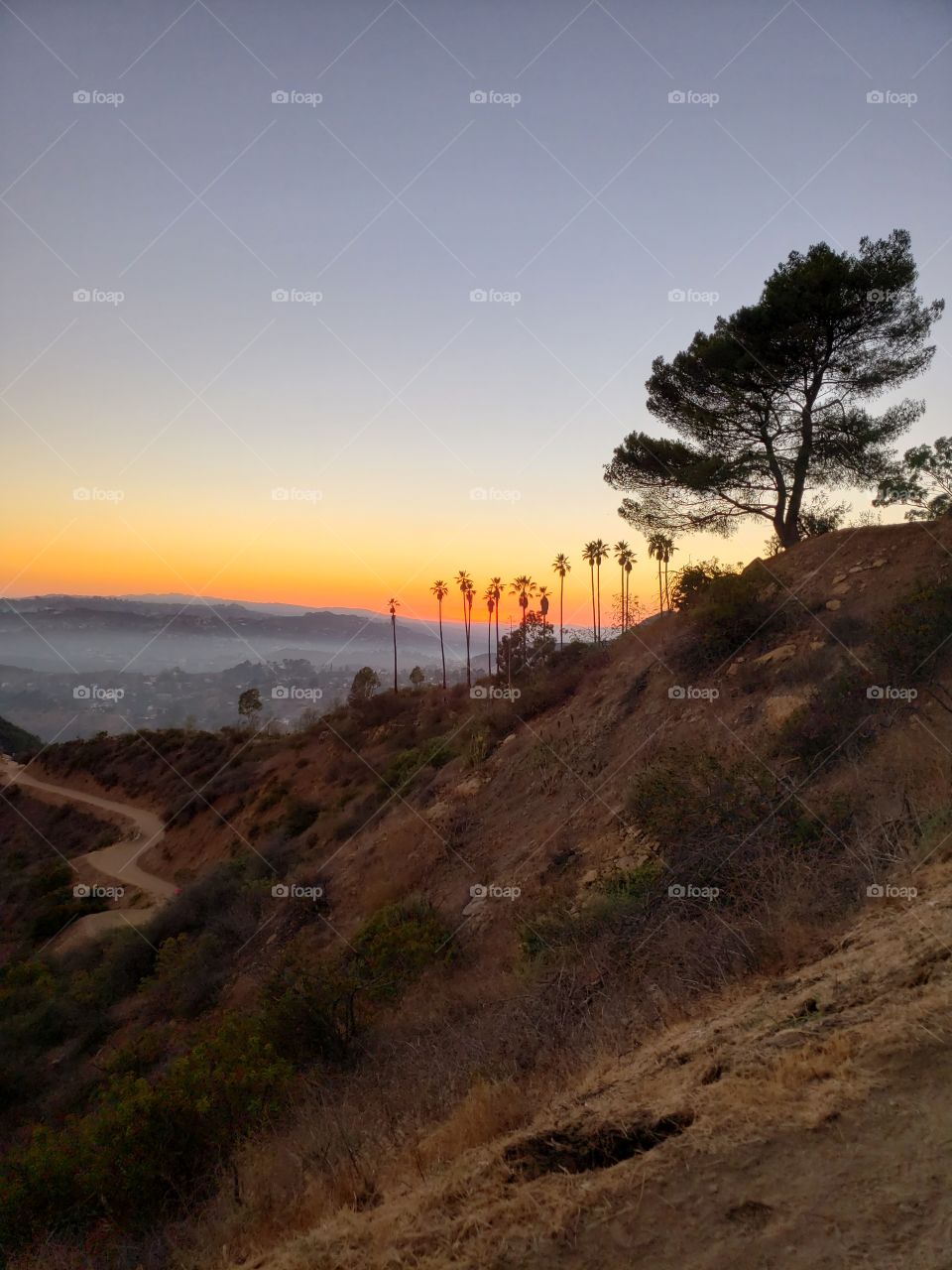 Hollywood Hills Sunset