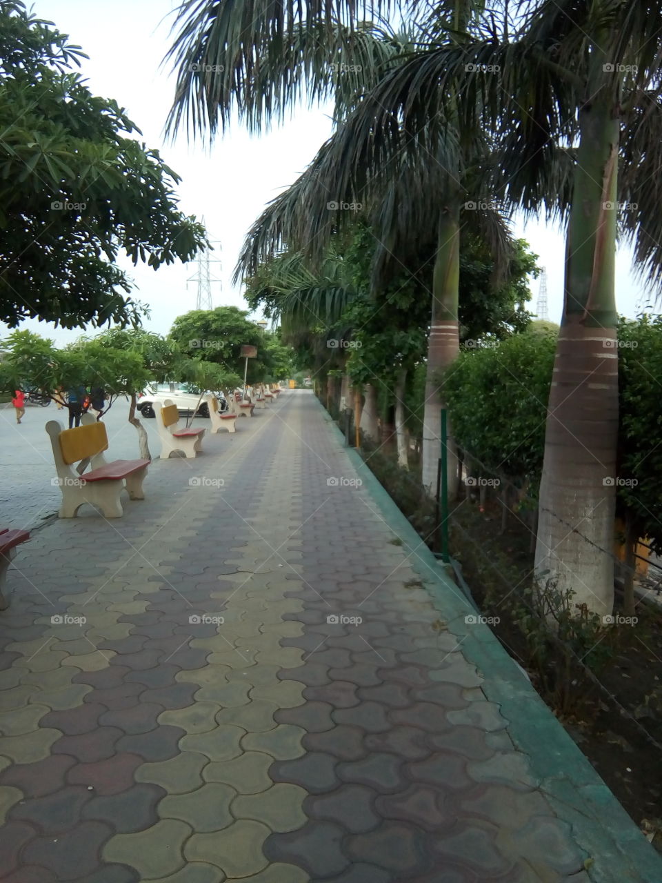 a beautiful path in Bathinda city.