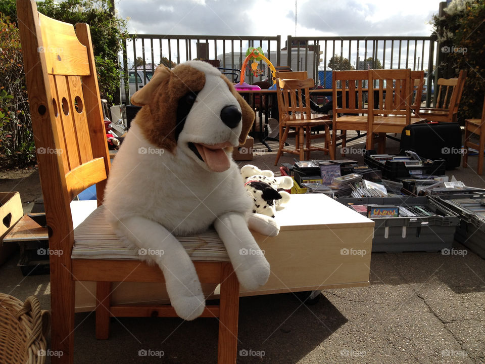 chair fence dog market by cabday