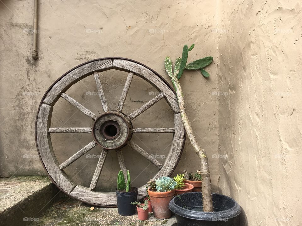Wheel & plants
