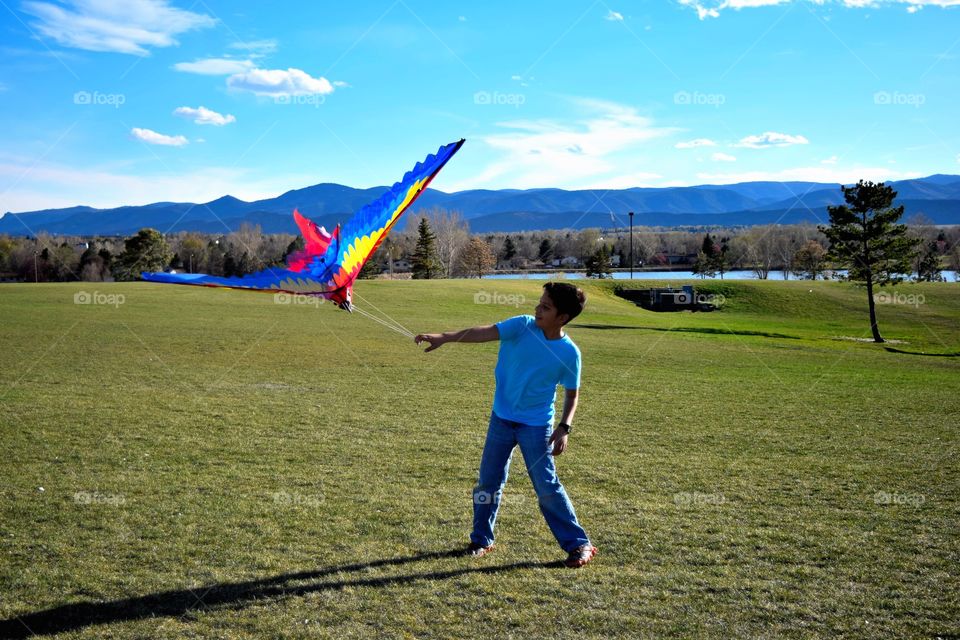 Kite. Windy