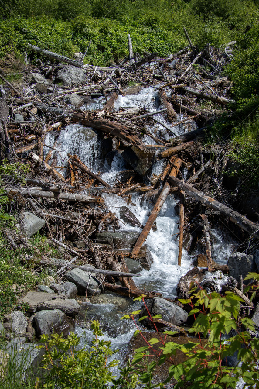 Enjoying a Waterfall in the Montana Mountains. 