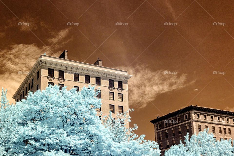 Boston infrared 