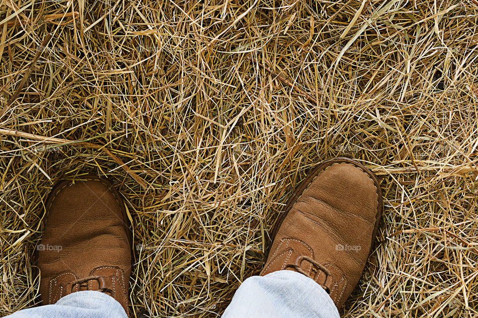 From where I stand ... hay