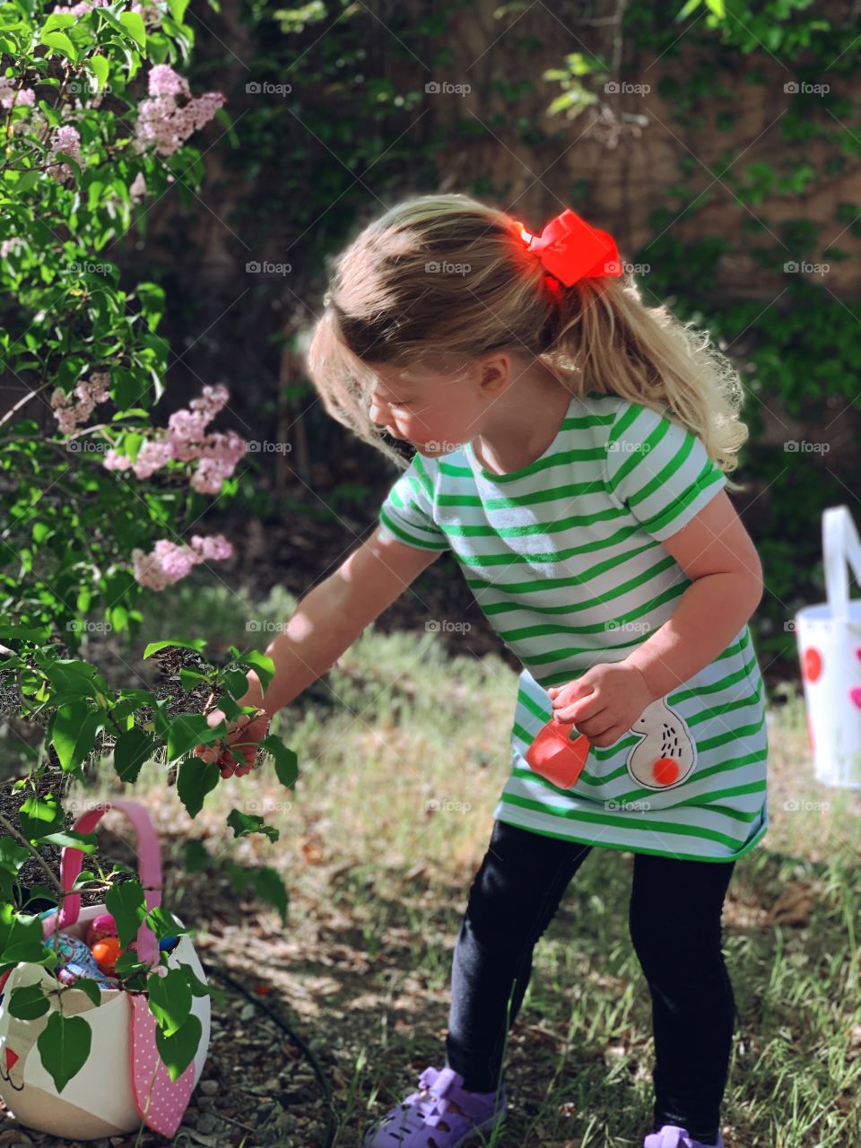 A real live action photo of a precious little girl on a journey to find Easter Eggs on Easter Sunday Morning. 