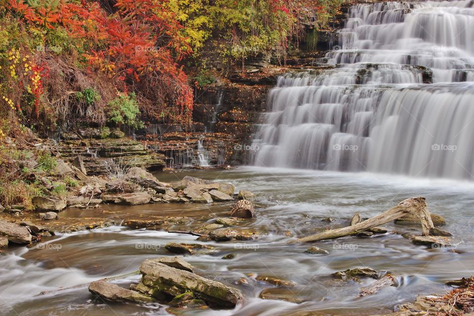 Ellicott creek waterfalls