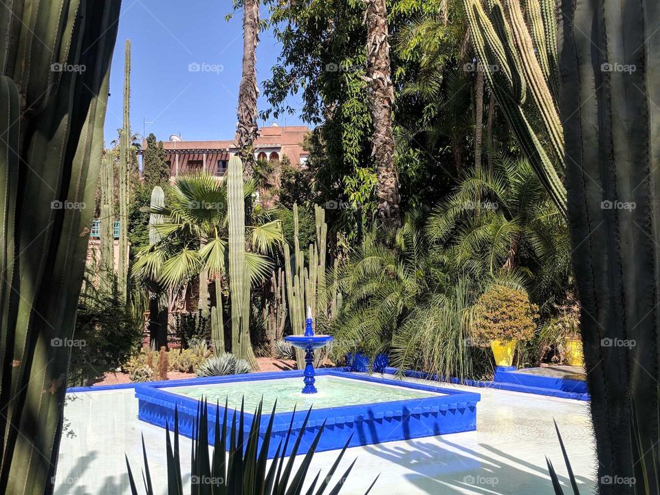 Jardin Majorelle in Marrakech - a Bright Royal Blue Fountain Surrounded by Palm Trees and Framed by Palms in a Garden on a Sunny Day