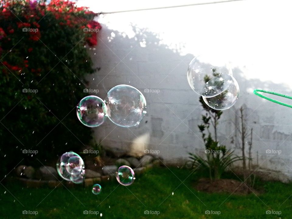 bubbles