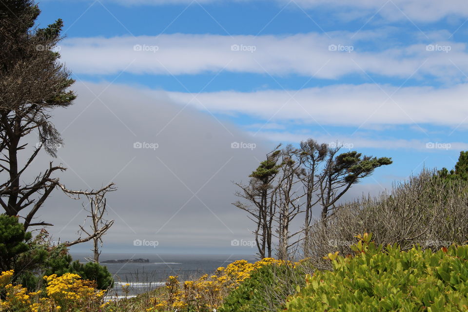 cloudy sky against sea