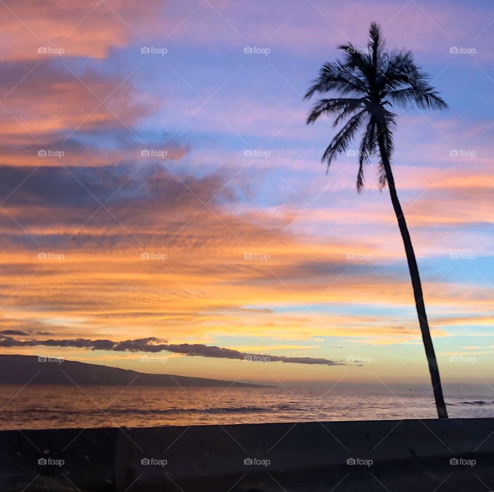 Beach, Sunset, Seashore, Sun, Ocean