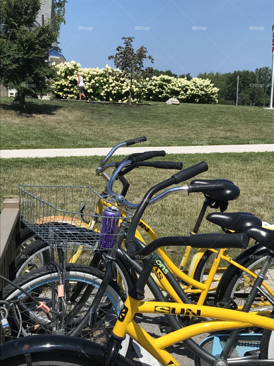 Bikes at Middle Bass Marina 