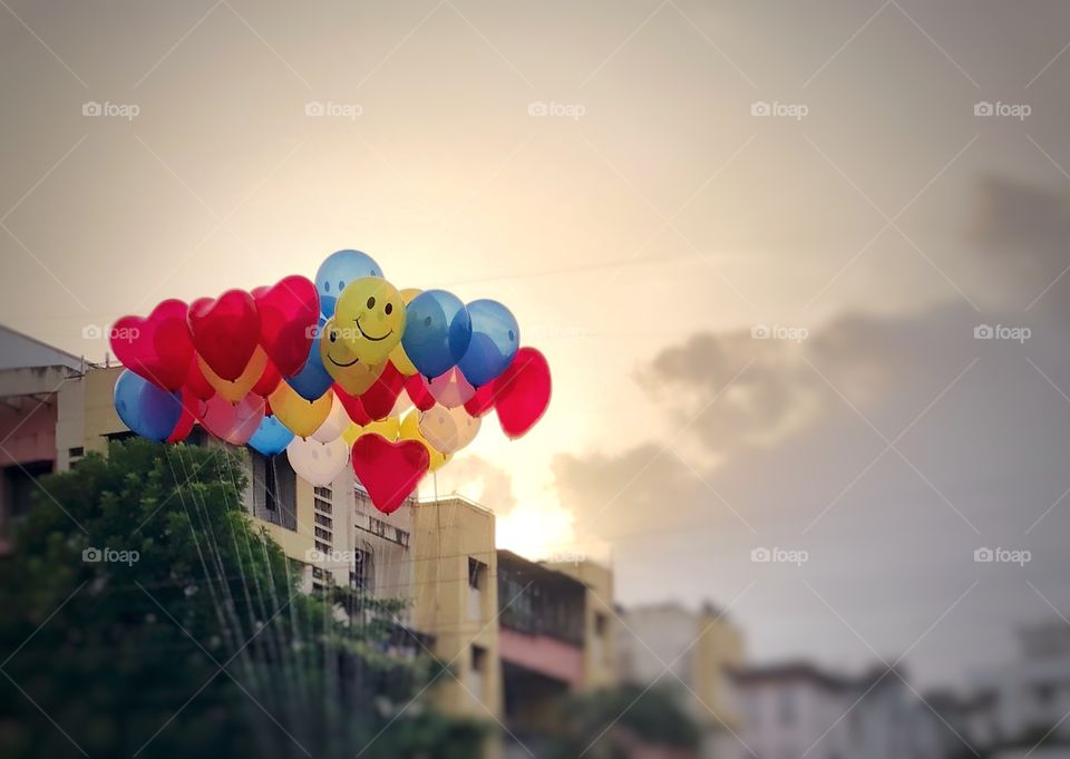 Love and happiness is all around us. We just have to know where to look. 