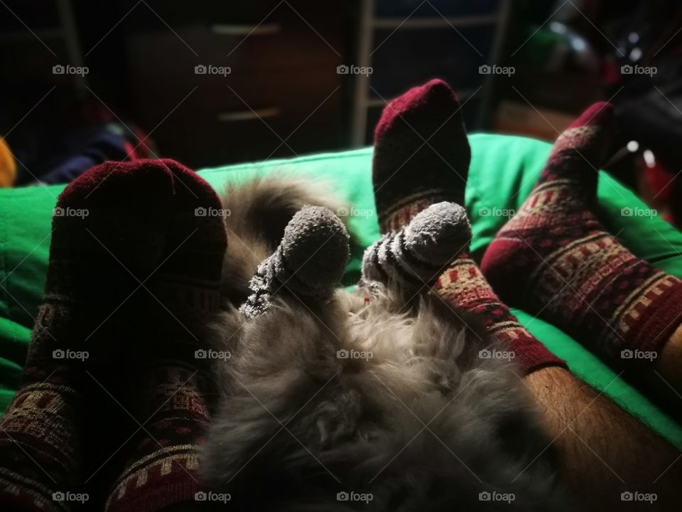en familia, jajajaka, le pusimos los calcetines de mi hija al gato