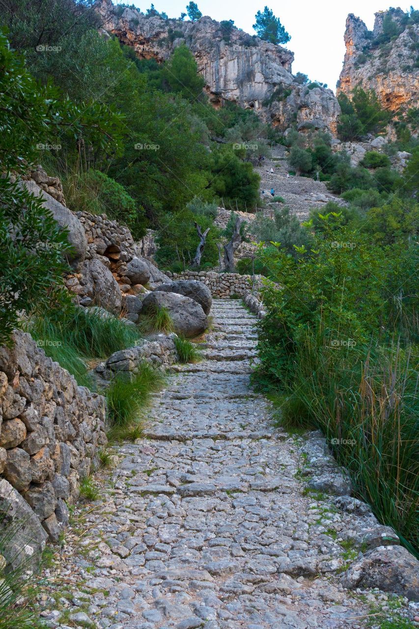 Stone pathway through the Baranc de Biniaraix (Biniaraix Gorge) in Majorca (Spain)