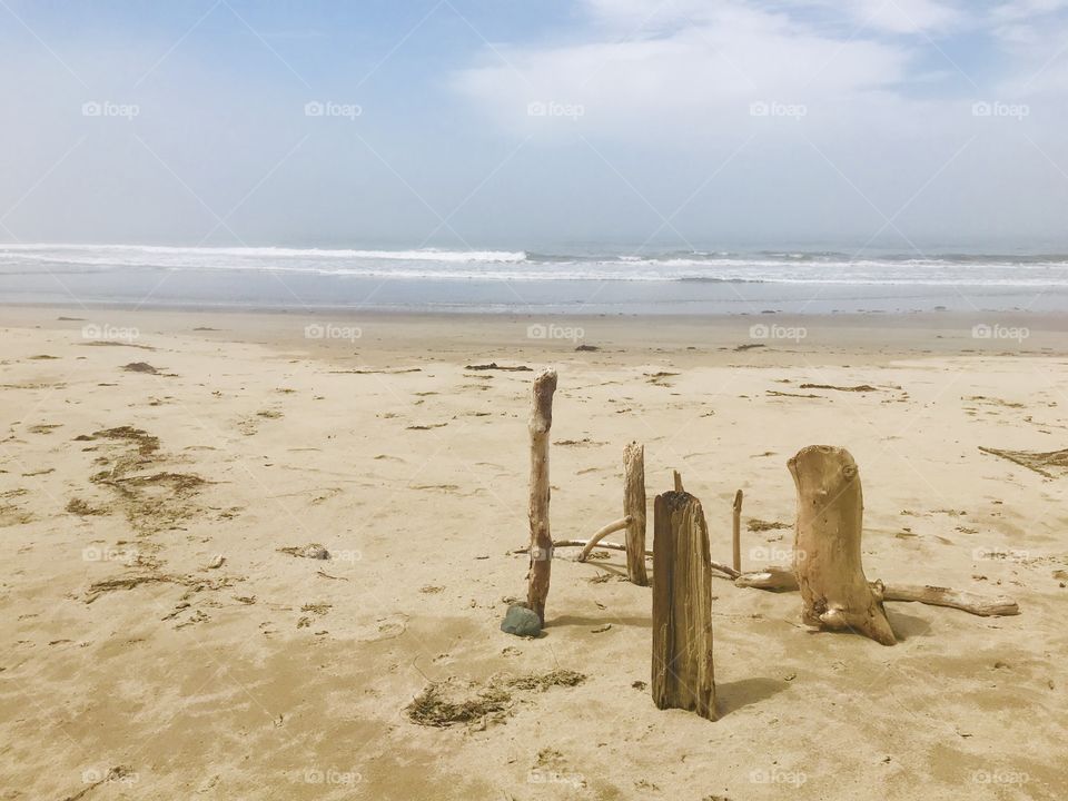 Soft colors at the ocean with standing driftwood 