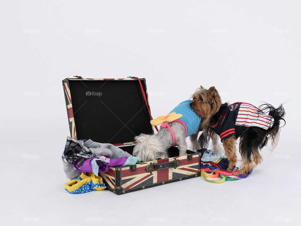 Suitcase for holiday Eduardo y Elisabett