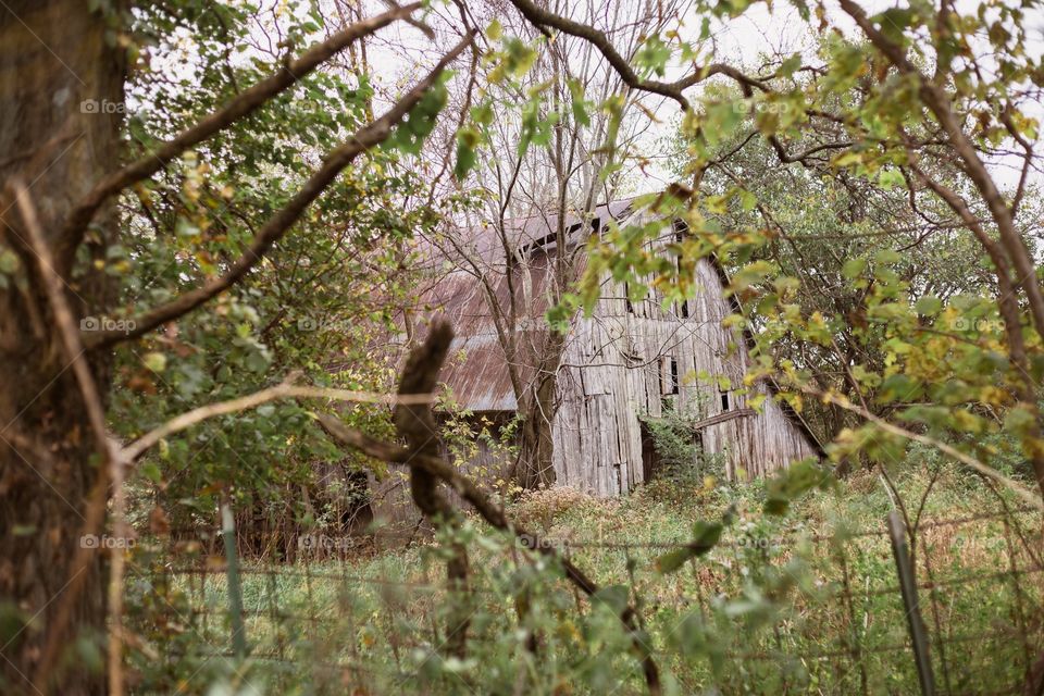 Old forgotten barn 