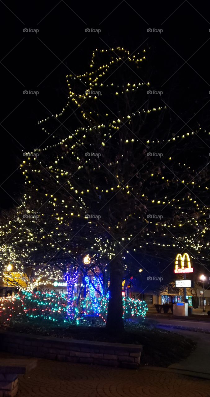 Christmas lights in bensenville
