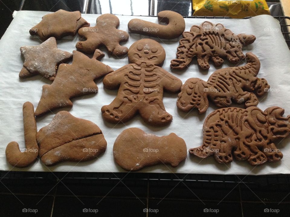 Dinosaur and Skeleton Gingerbread 