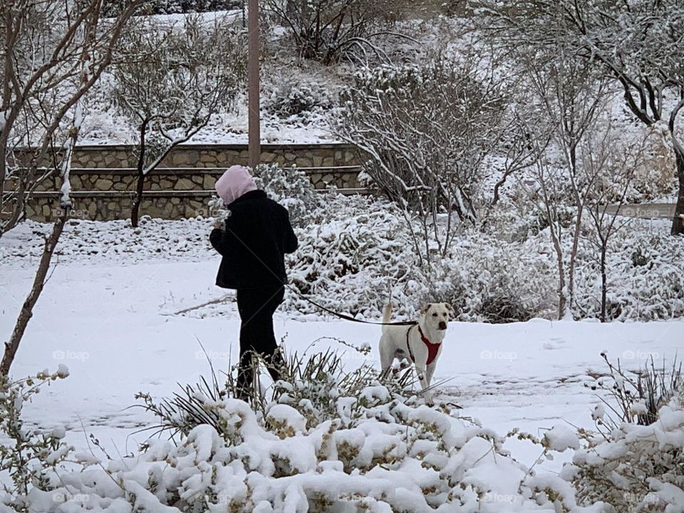 Walking a Dog in a Snowy Morning 