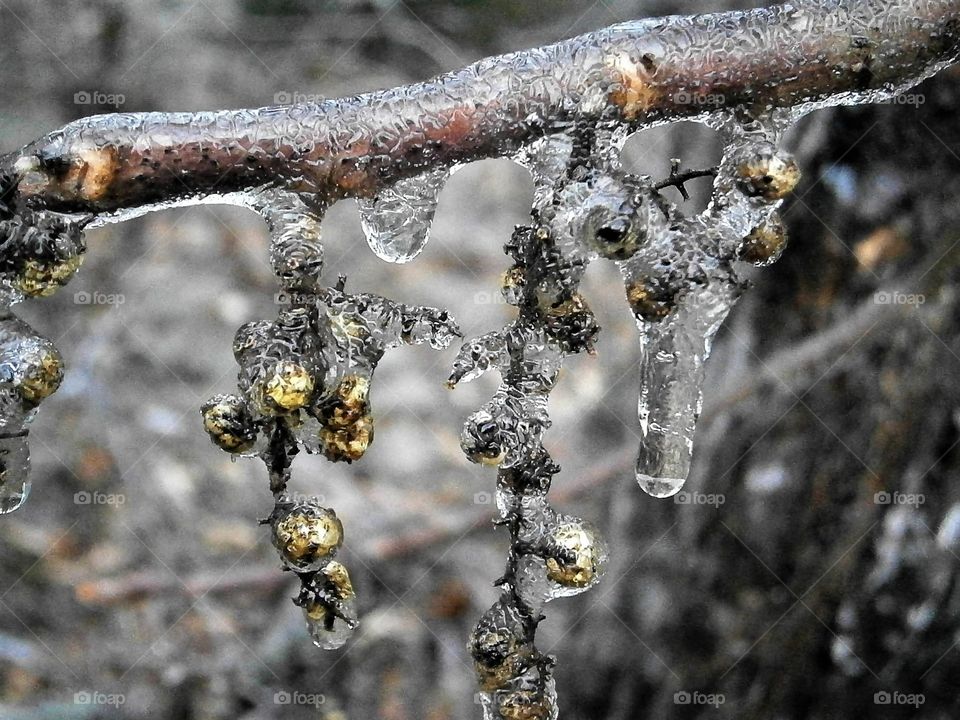 Frozen drops