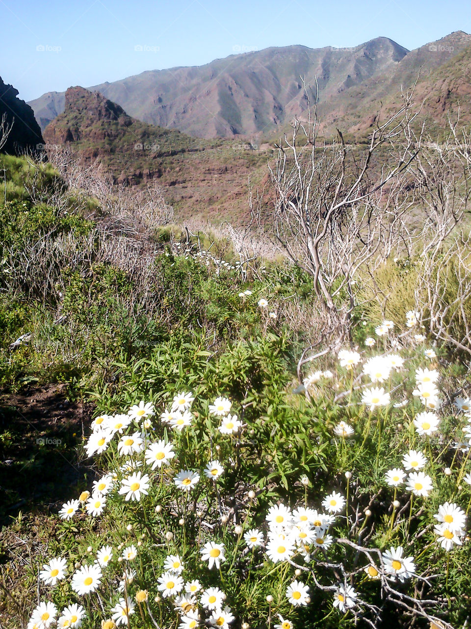 Hiking in Masca