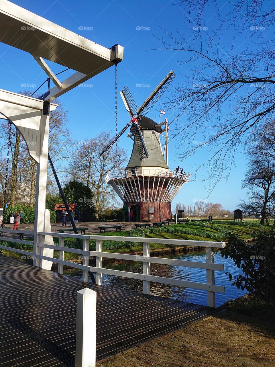 big windmill Keukenhof