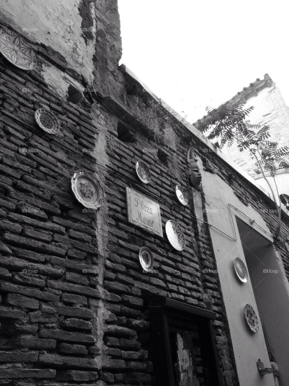 A relaxing cup in Plaza Mayor