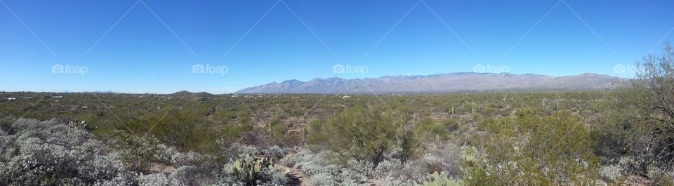 Catalina Mountain Range, Tucson, AZ, panoramic photo from Rincon Mountain Range