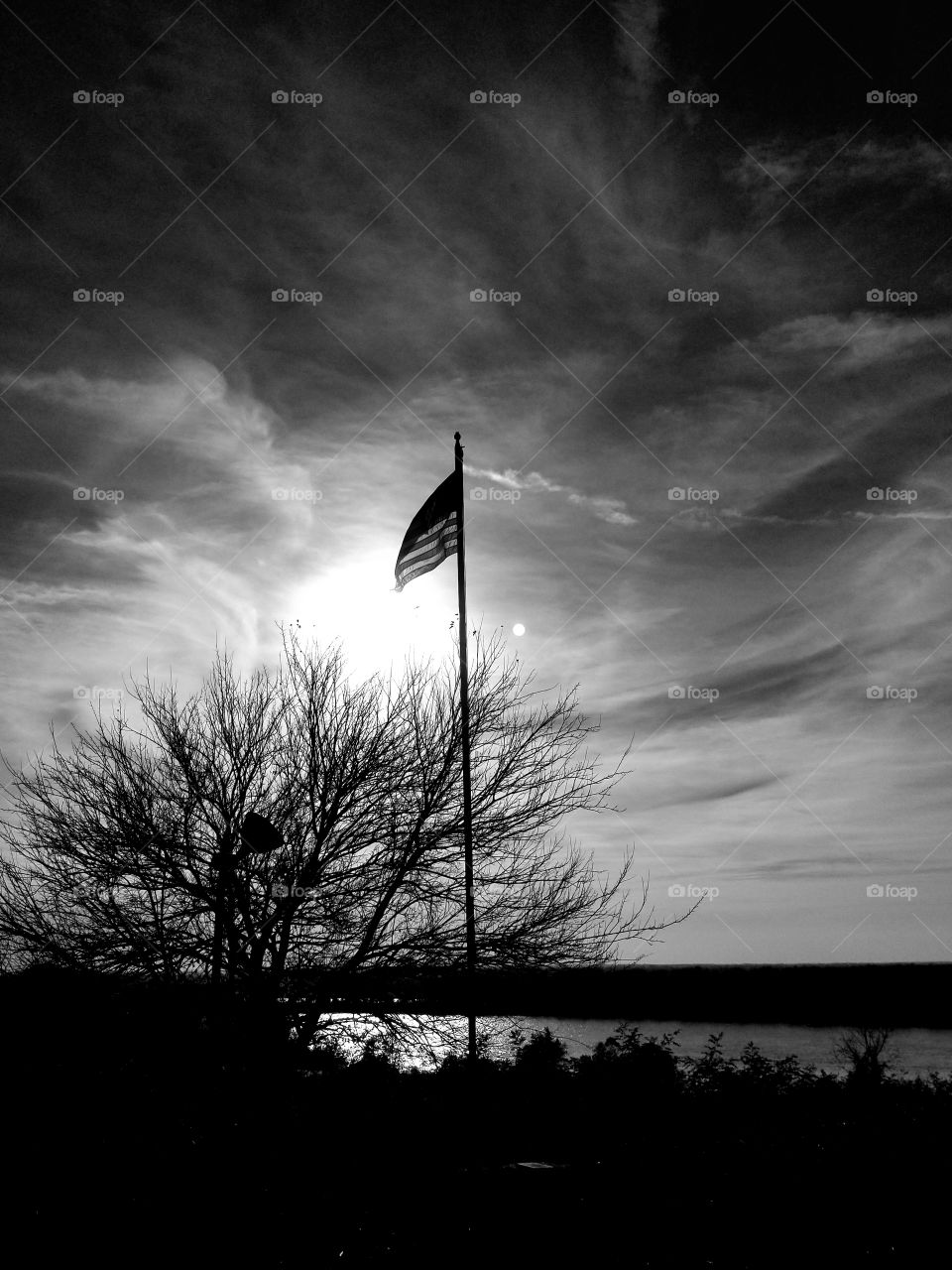 Black & White American Flag in the Wind on Veterans Day