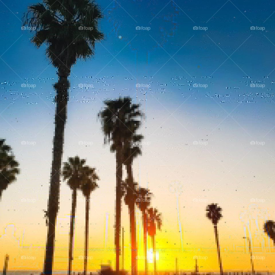 Venice Beach Sun Going Down