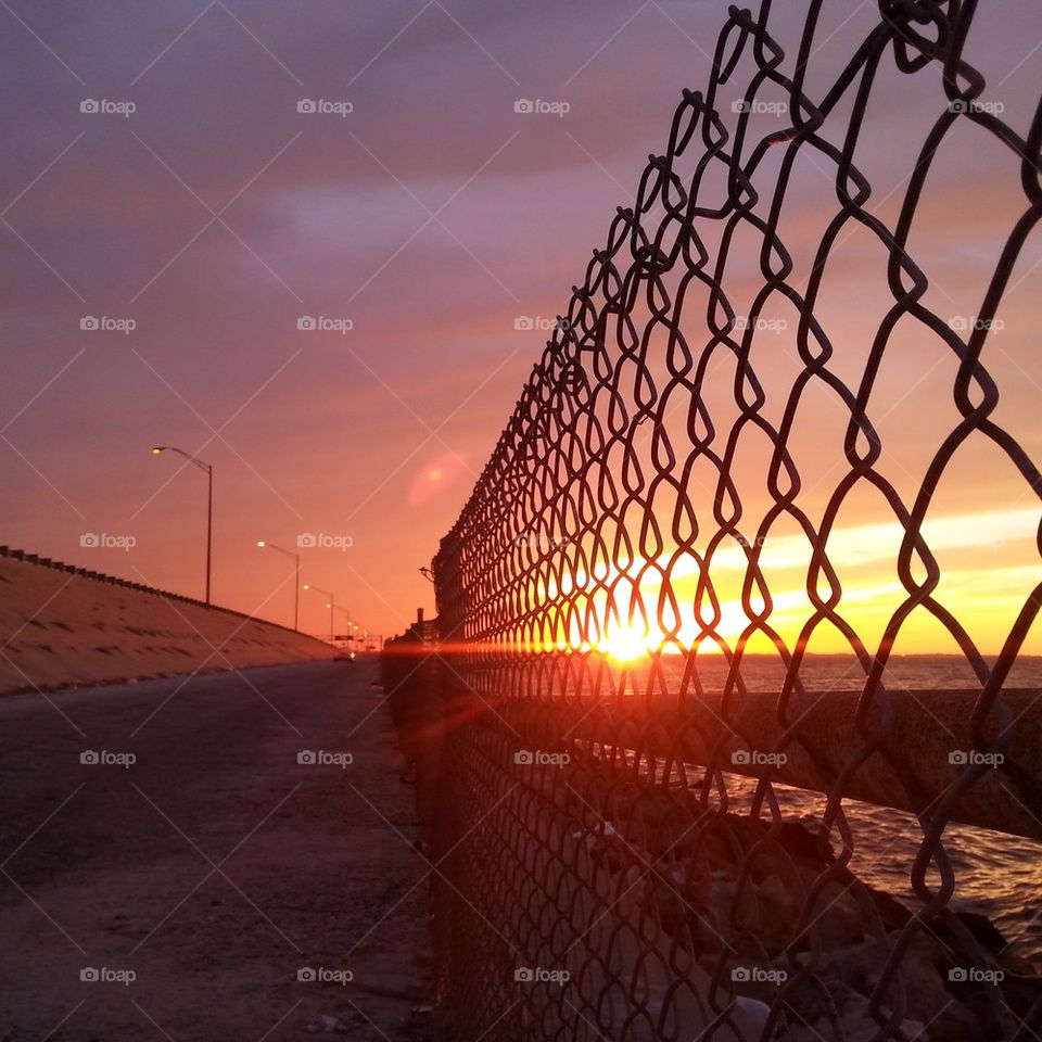 fence