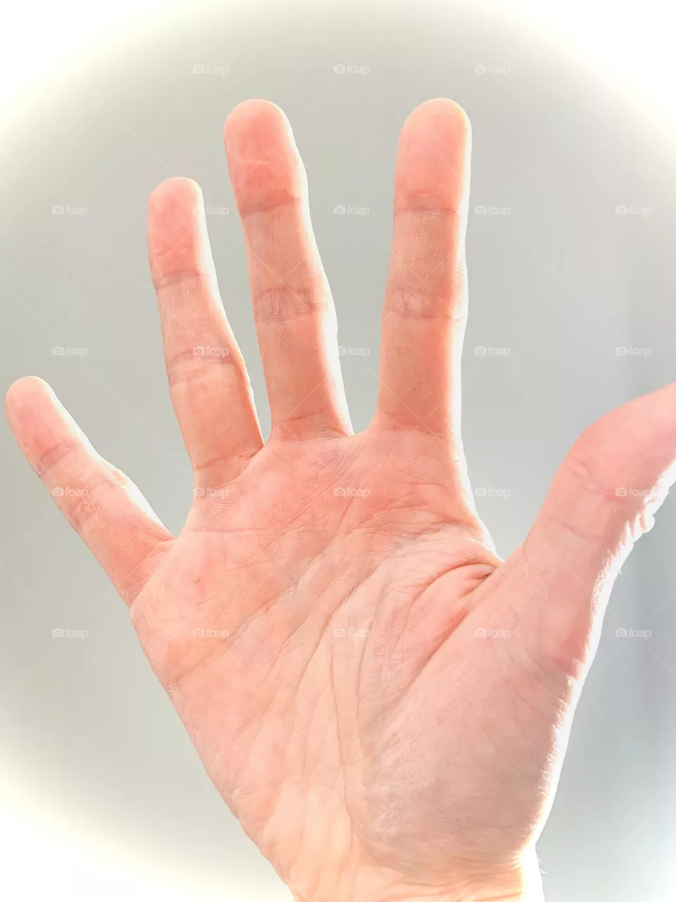 Human 