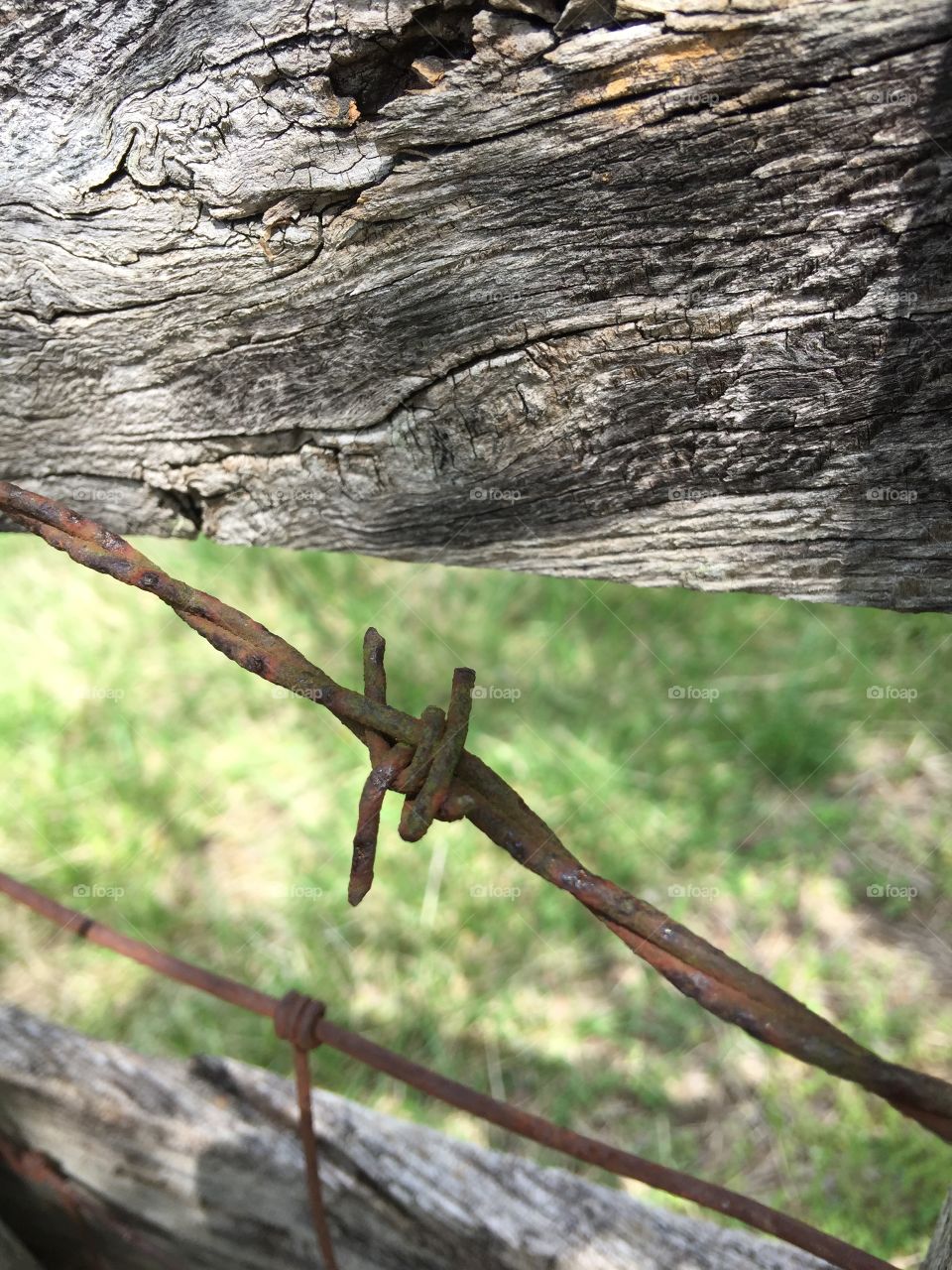 Barb wire