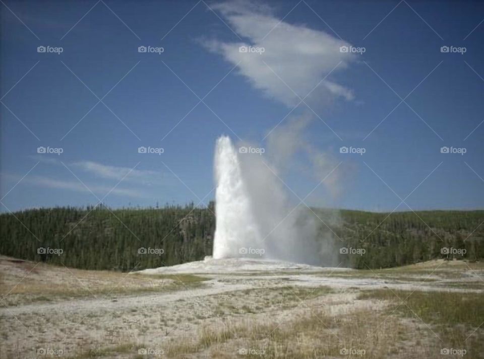 Old faithful geyser at Yellowstone 