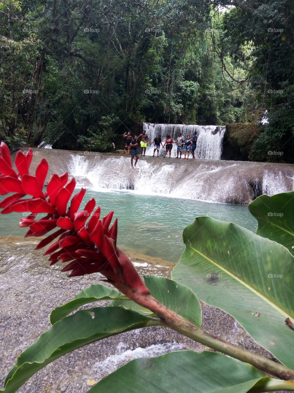 waterfalls YS Jamaica