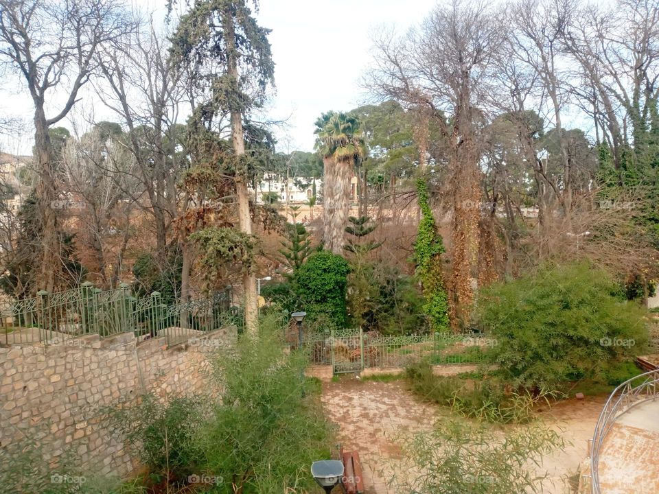 Population between the nature