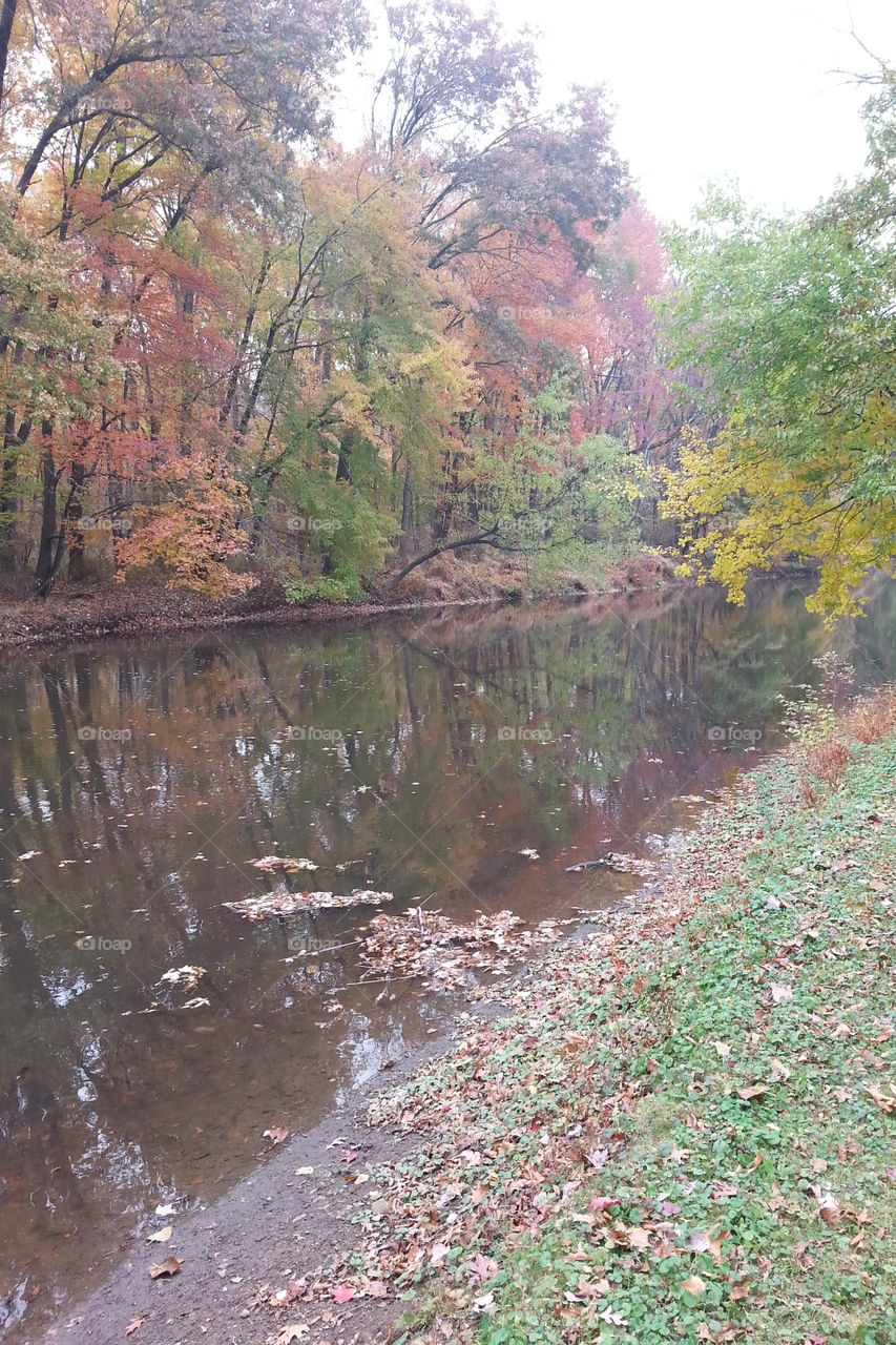 fall foliage by the river