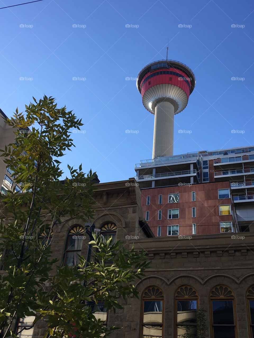 Calgary tower