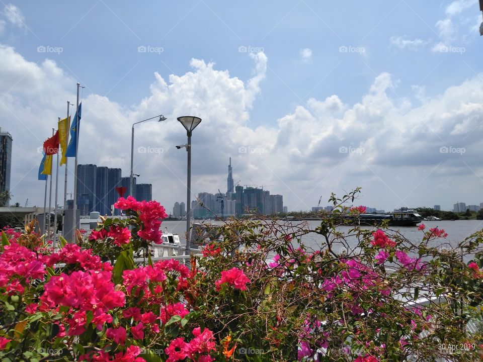Flowers at the waterfront with Landmark 81 in the background. Ho Chi Minh City.