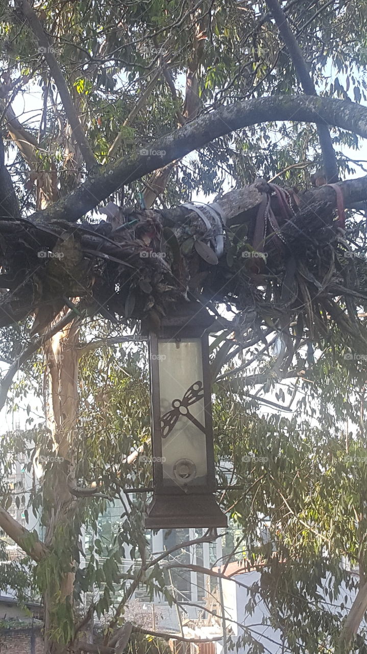 antiguo alimentador de pajaros