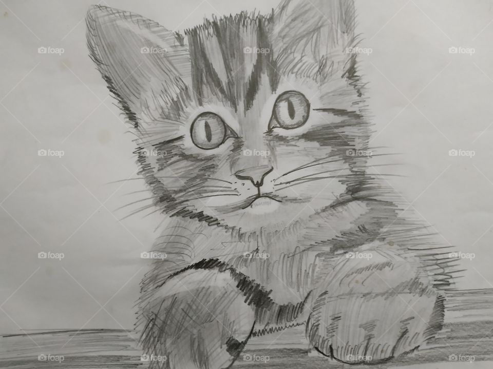 art cat