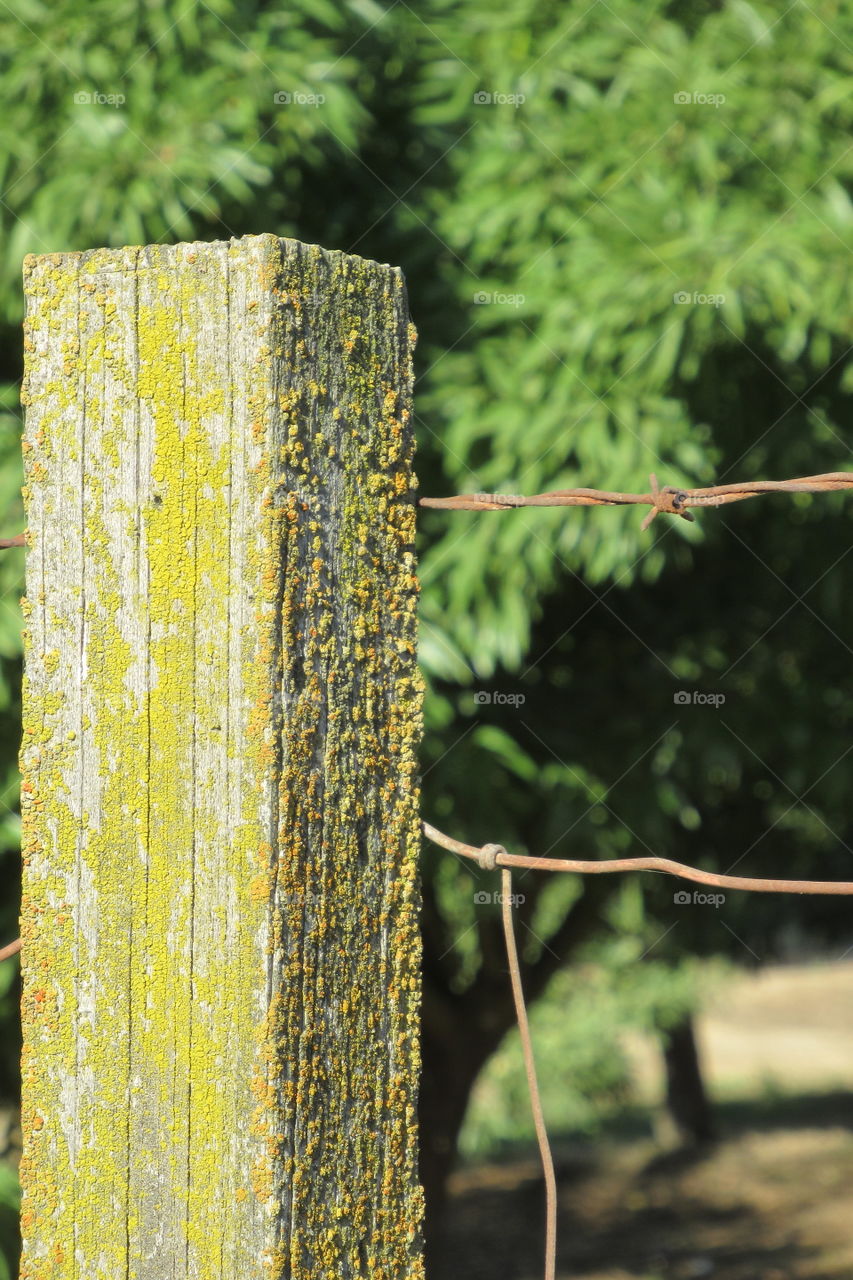 Fence post